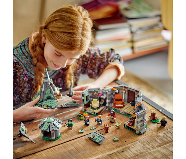 LEGO Harry Potter 76428 Chatka Hagrida: niespodziewana wizyta - 1220608 - zdjęcie 6